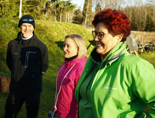 Liikuntamixeri Inzoi
